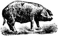 EAC010G.TIF