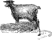 EAC010E.TIF