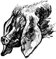 EAC010DD.TIF