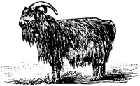 EAC010D.TIF