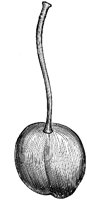 EAC005Z.TIF