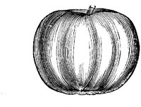 EAC005Q.TIF