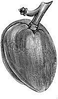 EAC005M.TIF
