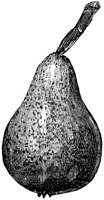 EAC005AA.TIF