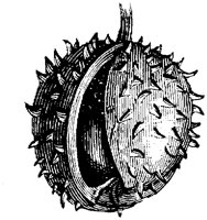 EAC004Y.TIF