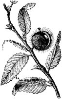 EAC004X.TIF