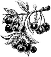 EAC004Q.TIF