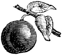 EAC004M.TIF