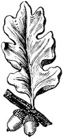 EAC004L.TIF