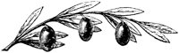 EAC004I.TIF