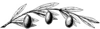 EAC004C.TIF
