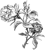 EAC003L.TIF