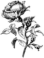 EAC003G.TIF