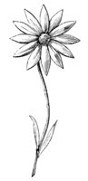 EAC003D.TIF