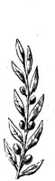 EAC003C.TIF