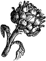 EAC002Q.TIF