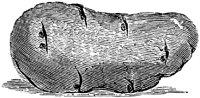 EAC002M.TIF