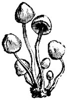 EAC002L.TIF