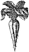 EAC002G.TIF