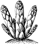 EAC002F.TIF