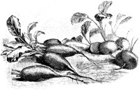 EAC002D.TIF