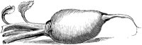 EAC002A.TIF