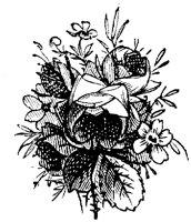 EAC001Z.TIF