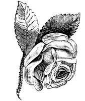 EAC001YY.TIF