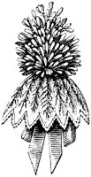 EAC001WW.TIF