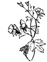 EAC001T.TIF