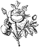EAC001Q.TIF