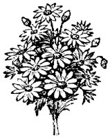 EAC001O.TIF