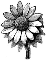 EAC001LL.TIF