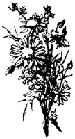 EAC001L.TIF