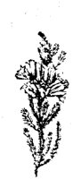EAC001I.TIF