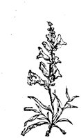 EAC001H.TIF