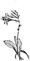 EAC001G.TIF