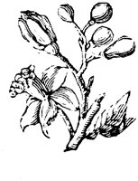EAC001FF.TIF