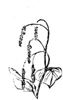 EAC001F.TIF