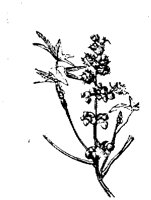 EAC001D.TIF
