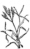 EAC001C.TIF