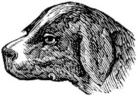EAC020G.TIF