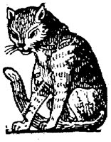 EAC020C.TIF