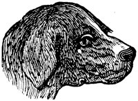 EAC020A.TIF