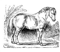 EAC017D.TIF