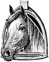 EAC016Q.TIF