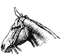 EAC016E.TIF