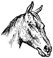 EAC016C.TIF