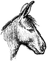 EAC015M.TIF