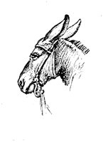 EAC015G.TIF